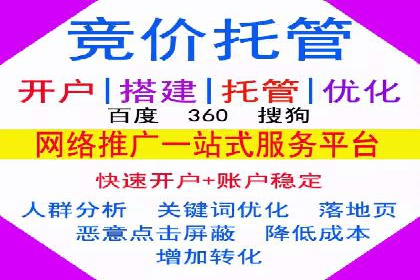 某行业SEM主管的优化策略与成果展示